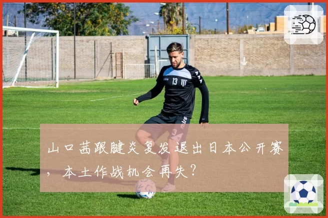 山口茜跟腱炎复发退出日本公开赛,本土作战机会再失?