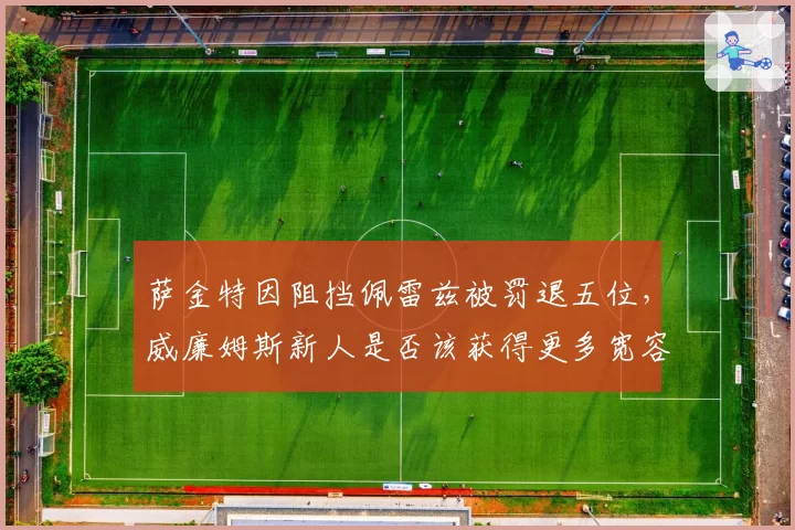 萨金特因阻挡佩雷兹被罚退五位，威廉姆斯新人是否该获得更多宽容？